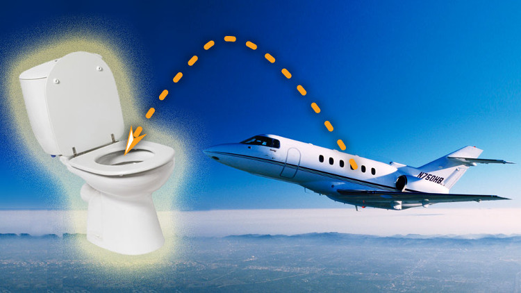 Picture 2 of What happens when you press the toilet flush button on the plane?