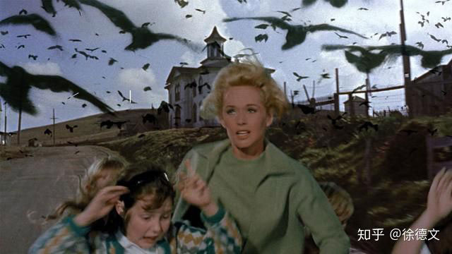 Picture 3 of What if all the animals on Earth turned against humans?