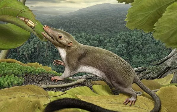 Picture 3 of What if dinosaurs live with humans?