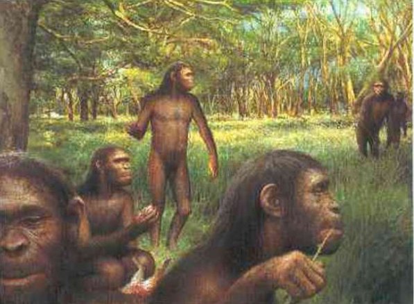 Picture 7 of What if dinosaurs live with humans?