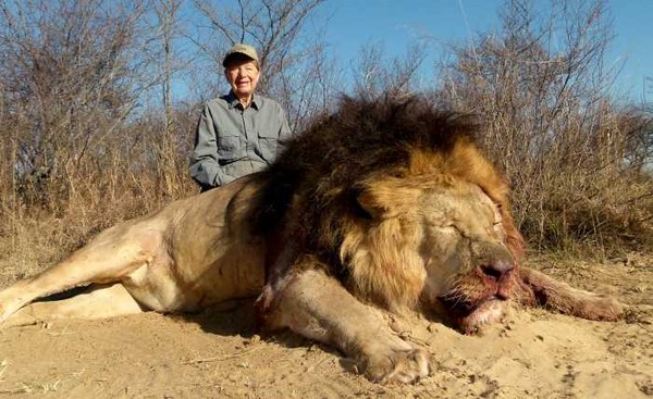 Picture 5 of What if the animal world does not appear?