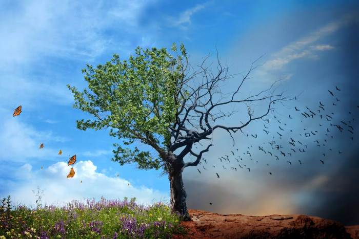 Picture 7 of What if the Earth no longer emits 'gravitational waves'?