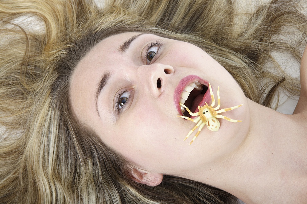 Picture 1 of What if we swallow a spider?