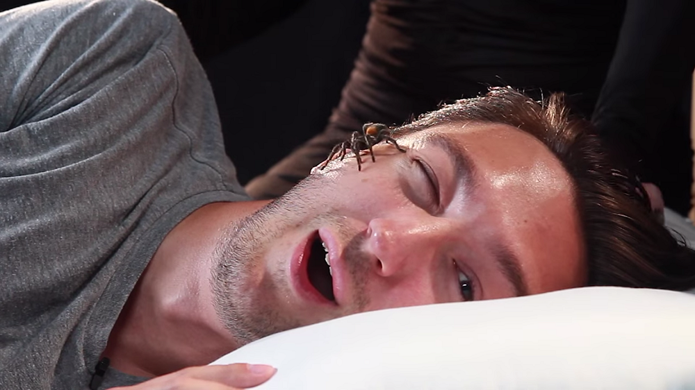 Picture 2 of What if we swallow a spider?