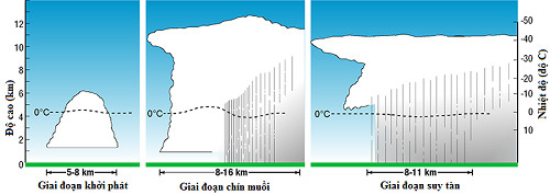 Picture 2 of What is a tornado?  How are thunderstorms formed?