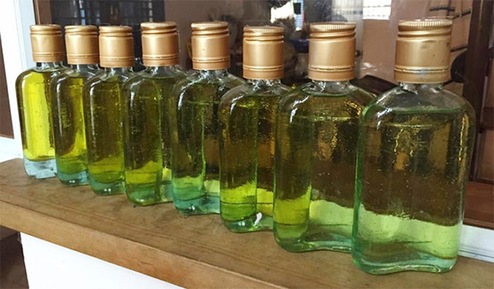 Picture 2 of What is cajeput oil?  Uses of cajeput oil