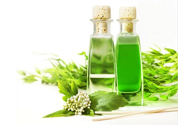 Picture 3 of What is cajeput oil?  Uses of cajeput oil