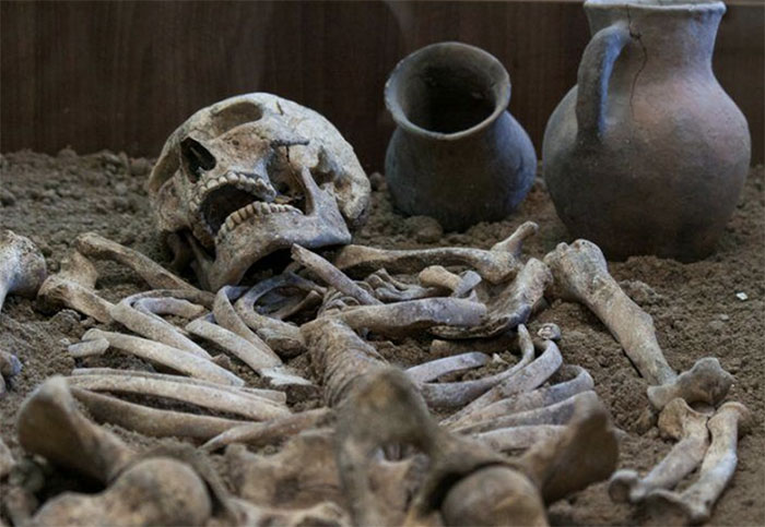 Picture 2 of What is carbon isotope analysis?  Why is it possible to date the archeology?