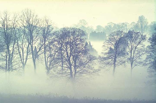 Picture 3 of What is fog?  Why is there a fog?