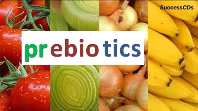 Picture 1 of What is prebiotic and how does it work for human health?