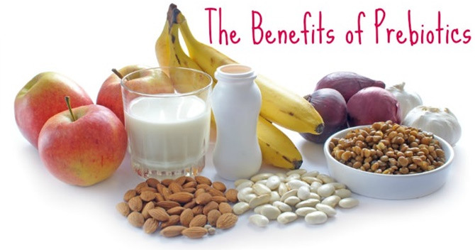 Picture 3 of What is prebiotic and how does it work for human health?