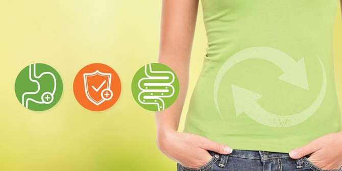 Picture 4 of What is prebiotic and how does it work for human health?