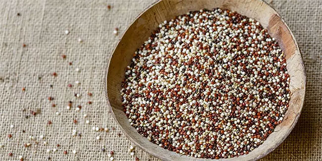 Picture 1 of What is Quinoa County?  Gold benefits of quinoa seeds for health