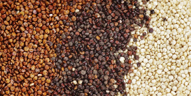 Picture 2 of What is Quinoa County?  Gold benefits of quinoa seeds for health