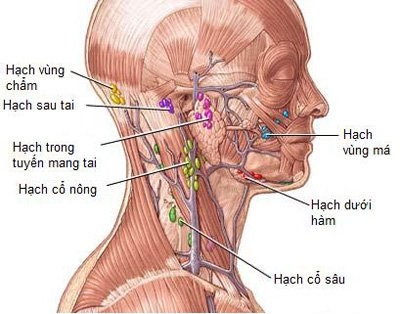 Picture 1 of What is the disease on the left side of the neck?