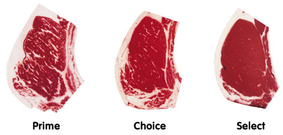 Picture 5 of What is the 'premium' American cow - this phrase is not used arbitrarily