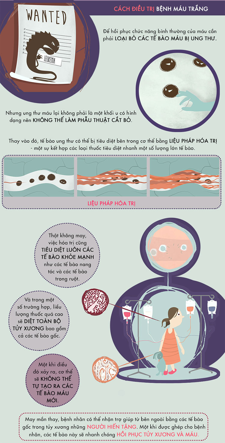 Picture 8 of What is white blood disease?