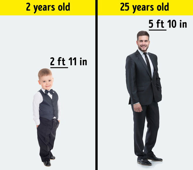 Picture 4 of What is your body, what is taken from your father, what is taken from your mother?  Here is the answer!