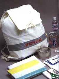 Picture 2 of What items are needed to cope with natural disasters?