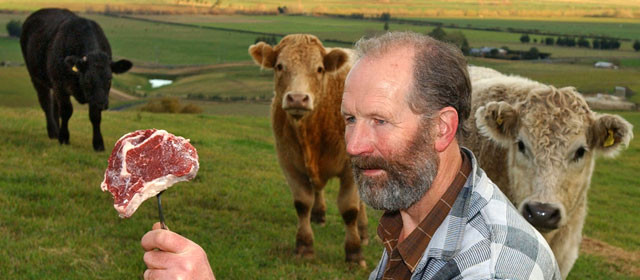 Picture 2 of What will happen if cows have never existed on this Earth?
