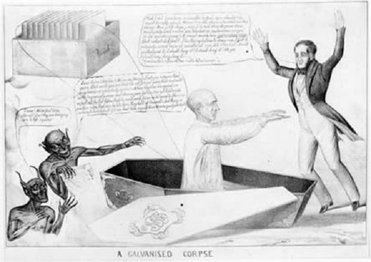 Picture 5 of What will happen if the electric click on the brain dies?