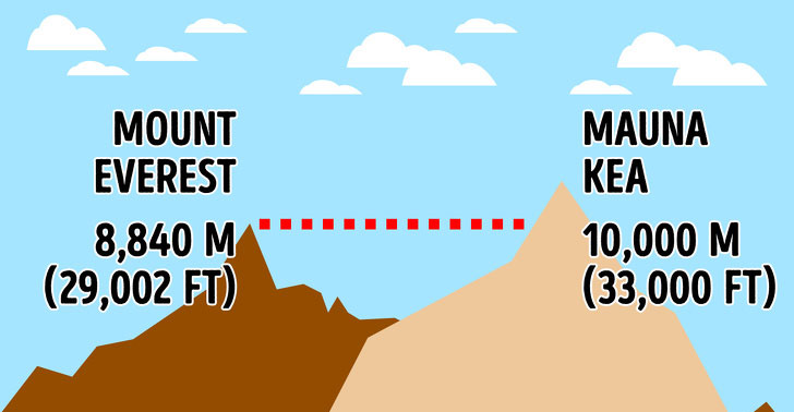 Picture 6 of What would happen if the Earth's sea and land swapped?  Hell is full of centipedes waiting for you