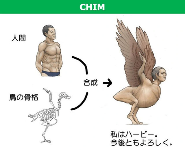 Picture 8 of What would happen if the human body has a structure similar to animals?