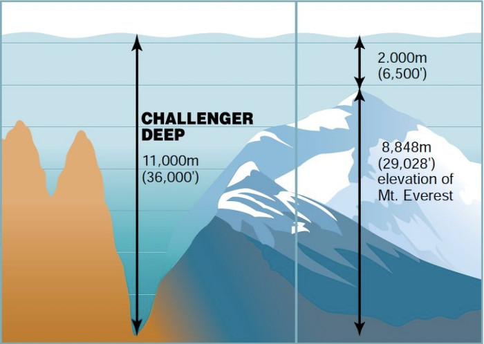 What's in the deepest place on Earth?