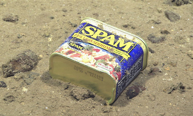 Picture 6 of What's in the deepest place on Earth?