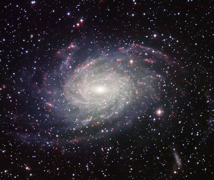 Picture 2 of What's special about our Milky Way?