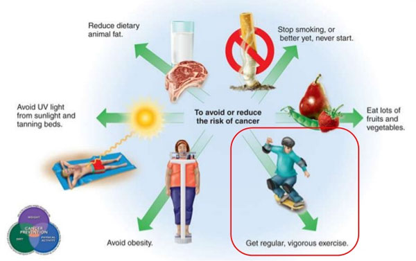 Picture 1 of When does cancer have genetic factors?