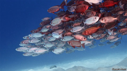 Picture 1 of When people put the ocean to the end