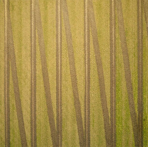 Picture 11 of When the farm turns into a mesmerizing art picture from an airplane perspective