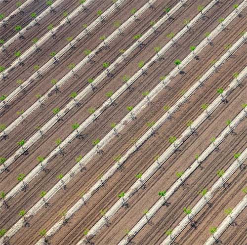 Picture 7 of When the farm turns into a mesmerizing art picture from an airplane perspective