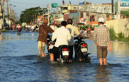 Picture 11 of When the tide is high, the people of Saigon reel in the sea of ​​water