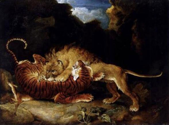 Picture 1 of When the tiger 'the lion' war, who wins?