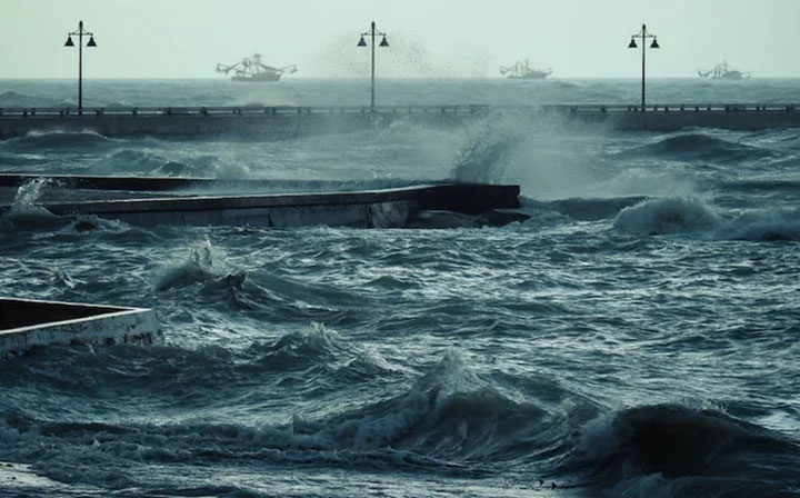 Picture 2 of When there is a storm, what happens to marine creatures?