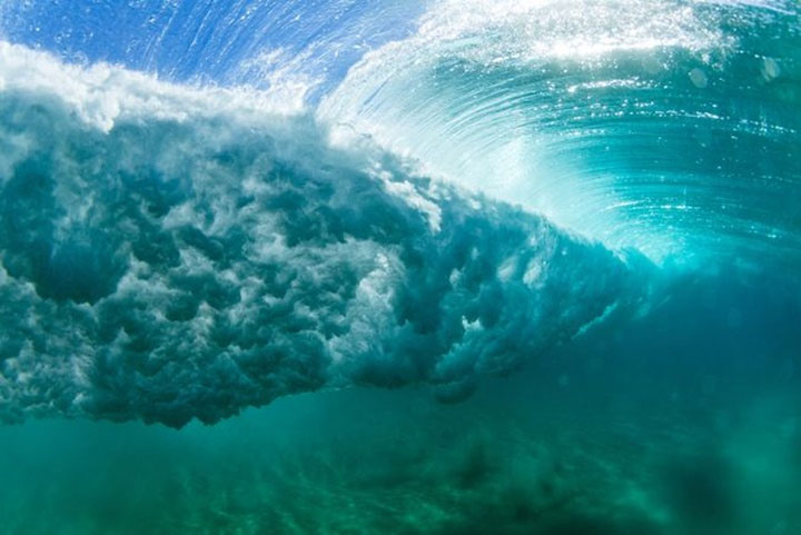 Picture 4 of When there is a storm, what happens to marine creatures?