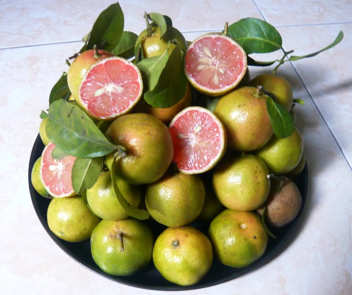 Picture 1 of When to drink lemon peach to treat cough and flu