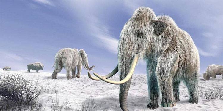 Picture 4 of When will the next ice age take place?