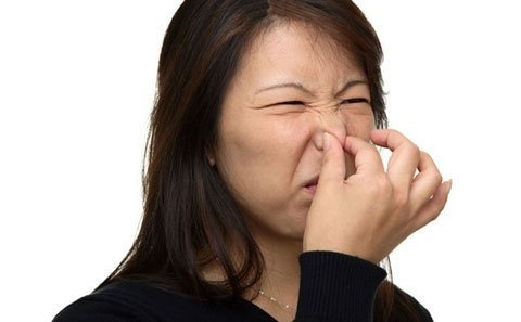 Picture 2 of Where do people 'fart'?