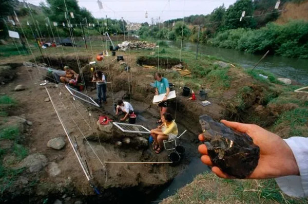 Picture 1 of Where do we humans evolve?