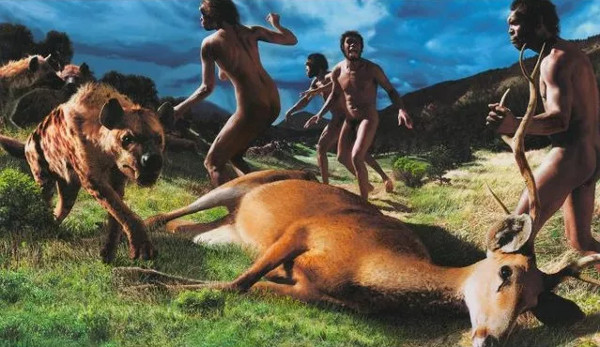 Picture 3 of Where do we humans evolve?
