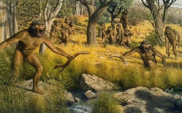 Picture 5 of Where do we humans evolve?