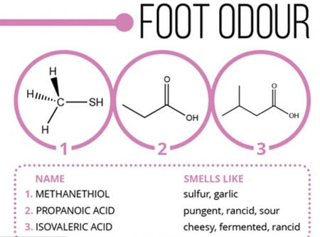 Picture 5 of Where is armpit, foot rot, bad breath?