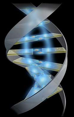 Picture 1 of Where is the genetic variation and personal health related?