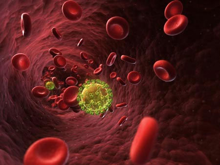 Picture 2 of Where is the only person who escapes from the HIV death virus?
