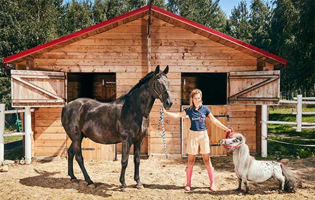 Picture 2 of Where is the world's smallest horse currently living, how tall?