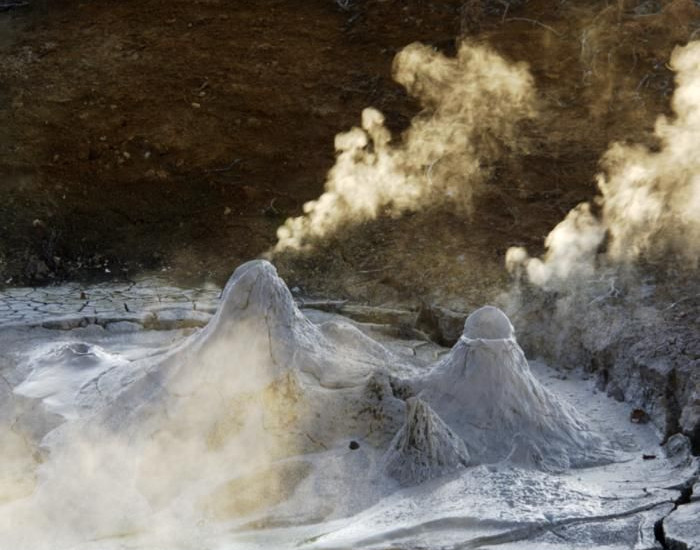 Picture 2 of Where life grows at boiling temperatures