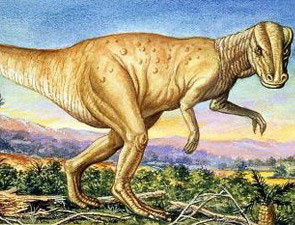 Picture 1 of Where the largest dinosaur fossil in the world